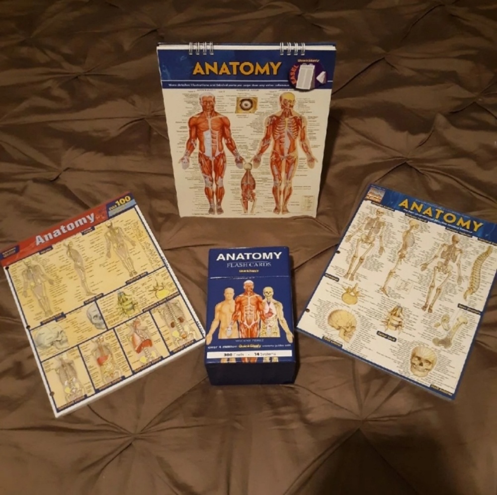 Anatomy and Physiology Study materials!!